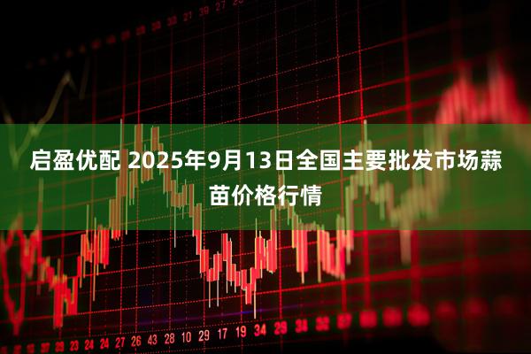 启盈优配 2025年9月13日全国主要批发市场蒜苗价格行情