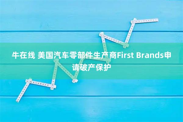 牛在线 美国汽车零部件生产商First Brands申请破产保护