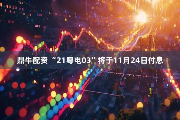 鼎牛配资 “21粤电03”将于11月24日付息