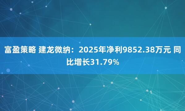 富盈策略 建龙微纳：2025年净利9852.38万元 同比增长31.79%